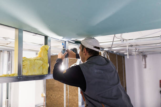 Best Insulation Maintenance and Repair in Schler Park, IL