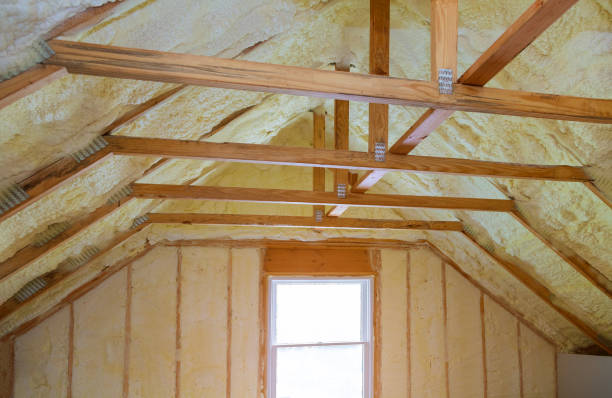 Best Commercial Insulation in Schler Park, IL