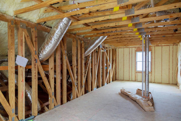 Best Specialized Insulation Services in Schler Park, IL