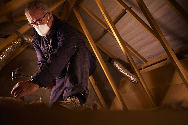 Best Spray Foam Insulation in Schler Park, IL