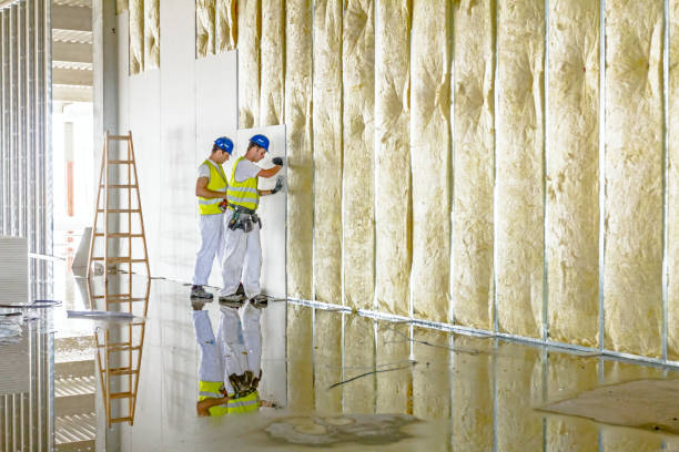 Best Blown-in Insulation in Schler Park, IL